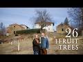 The Orchard We Ve Been Dreaming Of