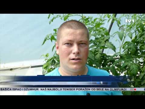 Zatvorenici u Busovači pokrenuli proizvodnju povrća u plastenicima