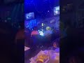 La Chingada In Atlanta GA Casual Fun Date Night