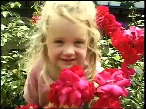 Sesame Street Episode 3895 (FULL)