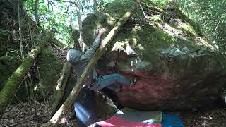 戸河内 心鉄 初段