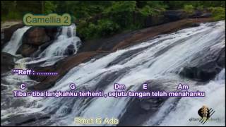 Chord Ebiet G Ade Camelia II Kord Gitar Ebiet Lagu dan Lirik