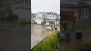 Early Morning Rain.Daily vlog on my YouTube channel #dailyvlog #vlog #fypシ #fypviralシ #viralreelsシ