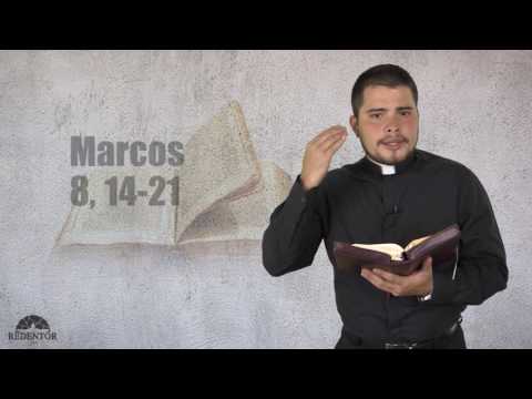 Evangelho do Dia - 14/02/2017