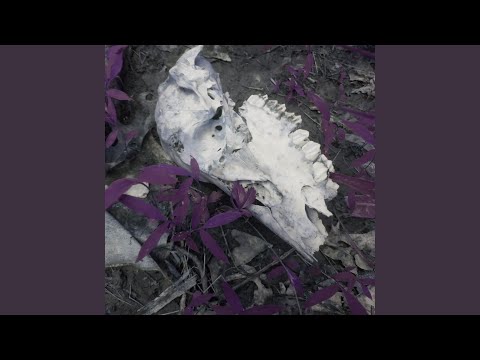 Video thumbnail for last summer