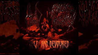 Head Stabber/Emaciated Amalgamation - Split and Devoured (2025, independent, Split EP)