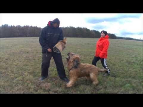 Trening Obrony Michal Wisniewski 13 12 2015