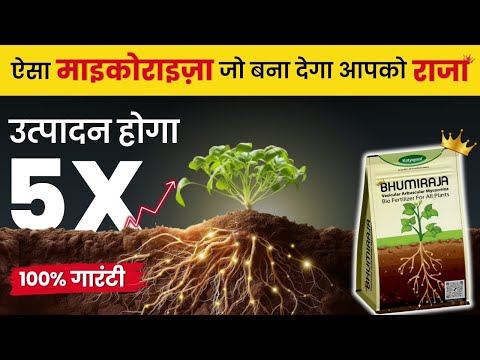 Bhumiraja ( MYCORRHIZA) 1 KG