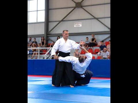 Ieronymos PYRGIANNAKIS | Aikido | 1st Hellenic Aikido Friendship Festival Demonstration 2022