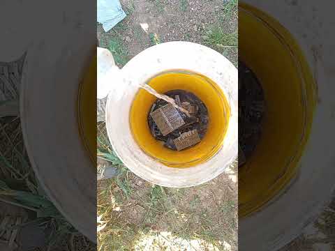 Dissolving Gold without Nitric acid #experiment #educational #science #chemistry #gold