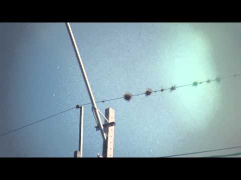 Joachim Cooder - Strike Up Your Matches