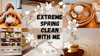 EXTREME SPRING CLEAN WITH ME 2022