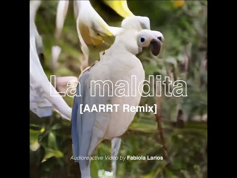 Lukrø feat. Qechuaboi - La Maldita [AARRT REMIX] (Video Oficial)