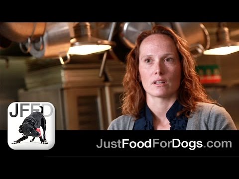 What Is A Dog Food Diet Trial? feat. Dr. Laura Wilson DVM | JustFoodForDogs