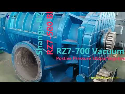Roots Blower máy thổi khí Vacuum Pump for Vacuum Pressure Swing Absorption soplador de raíces