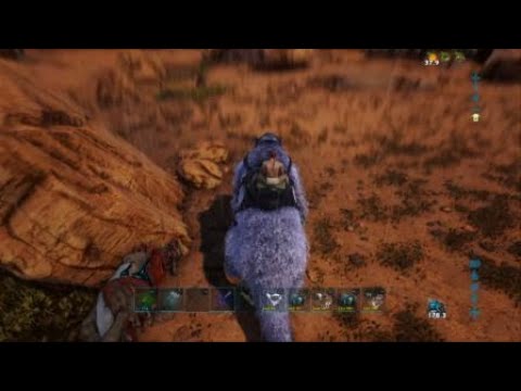 Velonasaur taming VERY EASY and cheap