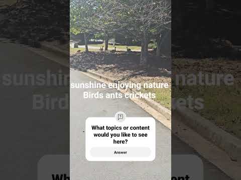 Wild Birds #wildlife #nature #naturelovers #outside #birds #birdsounds