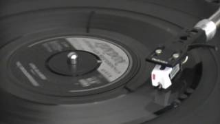 THE KNICKERBOCKERS   LOVE IS A BIRD