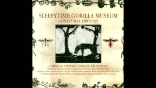 Sleepytime Gorilla Museum - Phthisis