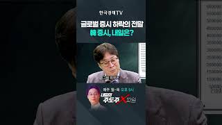 글로벌 증시 동반 하락의 전말…韓 증시, 내일은 어떨까? | 홀짝박사 '주도주 X파일' #shorts