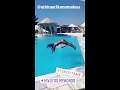 Ξεσήκωσαν την Μύκονο Χριστίνα Μπόμπα και Αθηνά Οικονομάκου! - Οι βουτιές τους σε πολυτελή πισίνα! (Video)