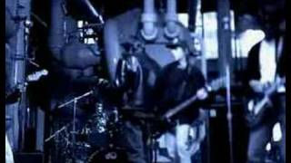 Gin Blossoms - Day Job