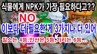 식물에게 NPK3요소가 가장 많이 필요하다고? NO, 이보다 더 필요한 영양소가 3가지나 더 있어.질소는 4…