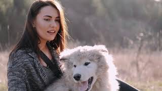 amazing cute dogs#kind of beautiful dogs