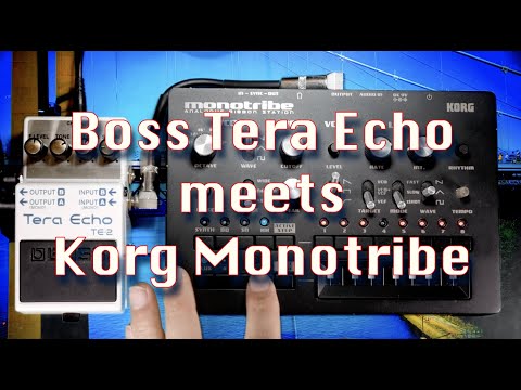 Boss TE-2 Tera Echo meets Korg Monotribe - Pedals with Synth