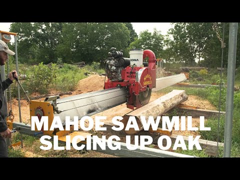 Mahoe Minimax vs White Oak