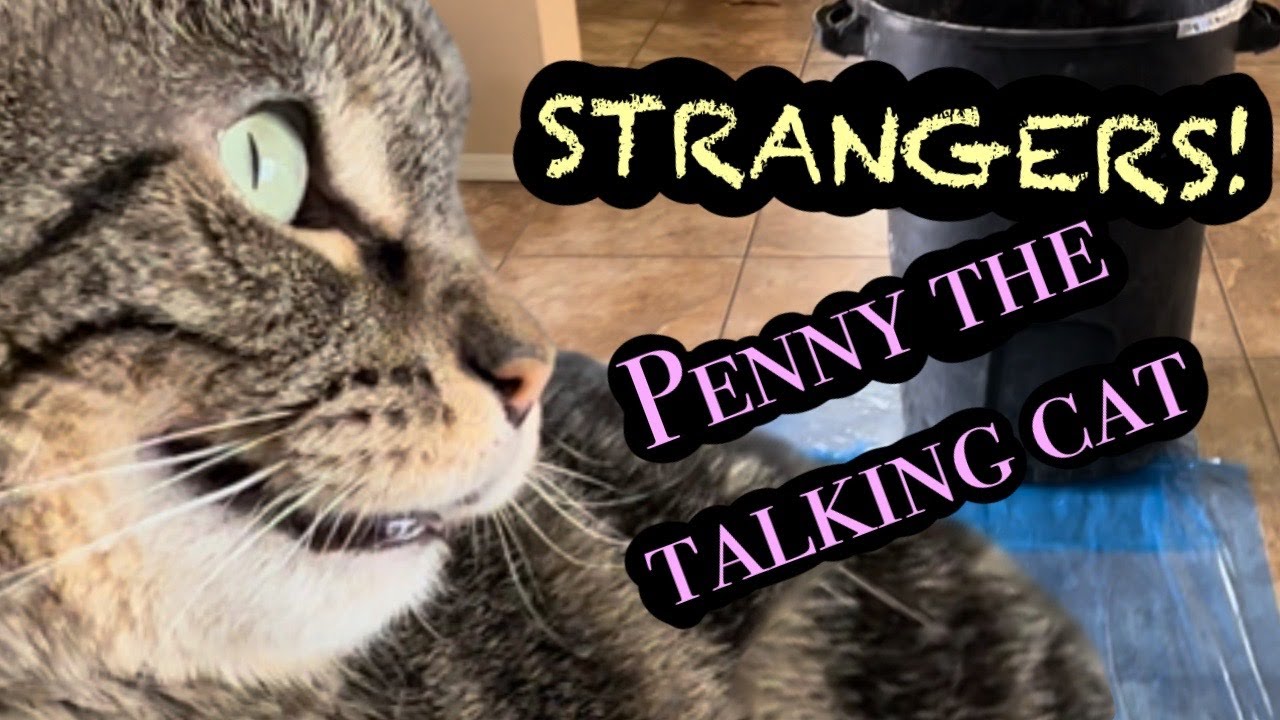 Penny helps with breakfast and faces her fears when strangers appear!