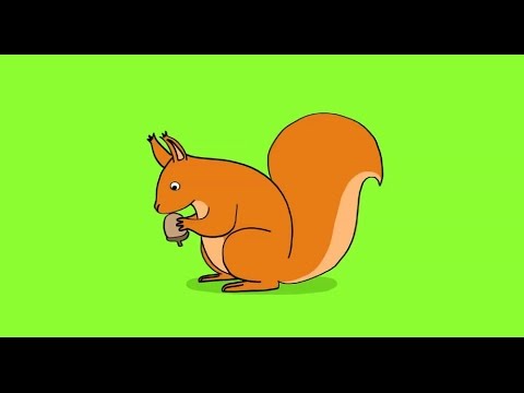comment colorier un ecureuil
