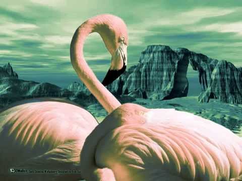 Nova Mejías Recopilación (1/3)