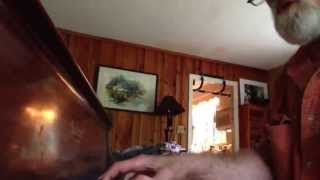 Ain&#39;t Nobody&#39;s Business