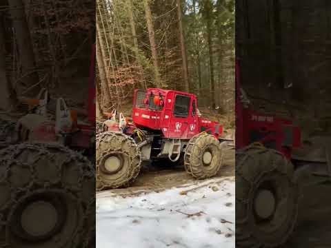 Tractorul roșu coboară controlat pe drumul alunecos plin cu zăpadă! 🚜❄️ #tractor #zăpadă#drum #belis