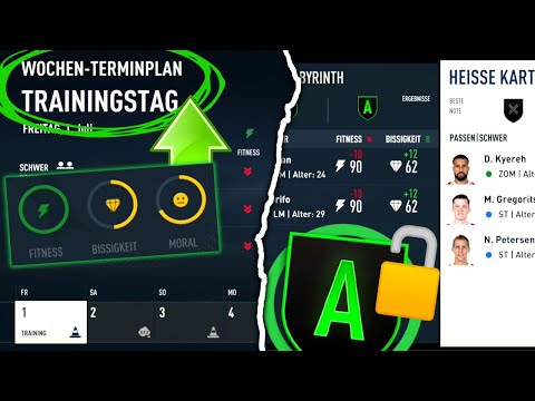 Training + Bissigkeit, Moral & Fitness erklärt🤔⛔️ | FIFA 23 Tipps und Tricks