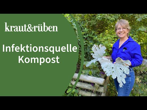 Composting mistakes: What shouldn't go on the compost heap?