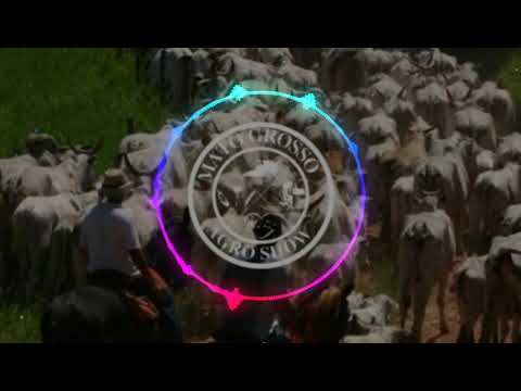 Israel e Rodolfo - Dar uma namorada (Mato Grosso Agroshow)