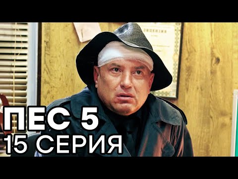 Сериал ПЕС - 5 сезон - 15 серия - ВСЕ СЕРИИ смотреть онлайн | СЕРИАЛЫ ICTV