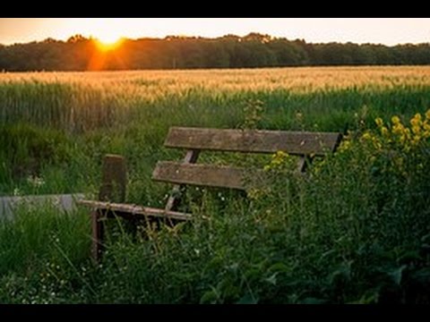 Relaxing music to Calm the Mind - Sweet Music