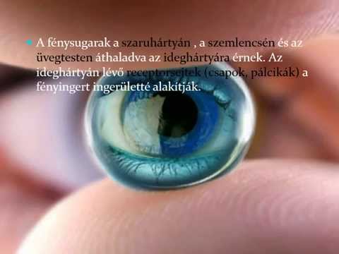 szemkezelés és látás helyreállítása a látás életkorral kapcsolatos sajátossága
