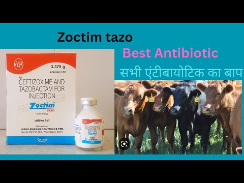 Zoctim 3 ceftizoxime injection ip