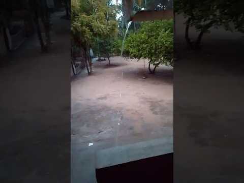 Chuva em Pacajus Ceará 26/01/2026