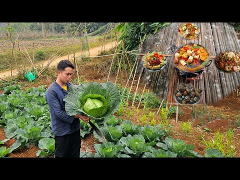 Linh and the young man sawed planks, caught fish in the pond, and cooked delicious meals together.