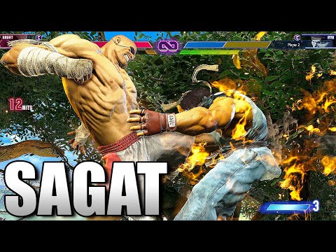 Sagat Combos + Hype!