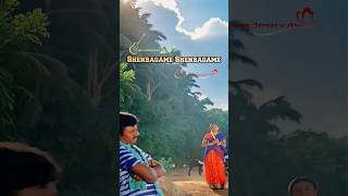 Download lagu Shenbagame Shenbagame song status | Mano | Sunanda | Ilayaraja | Asha Bhosle | tamil whatsapp status mp3