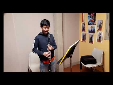 Audition virtuelle de la classe de clarinette du Val d'Yerres-Mai 2021