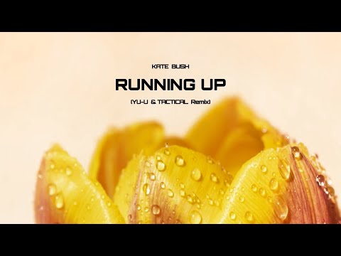 Kate Bush - Running Up That Hill (Yu-u & Tactical Remix)