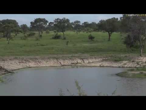 March 04, 2017- Vlad the impaler Croc with Brent Leo Smith