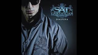 Sat L'Artificier - Diaspora